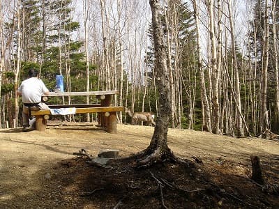 奥秩父の山旅（登山、トレッキング）、白岩山