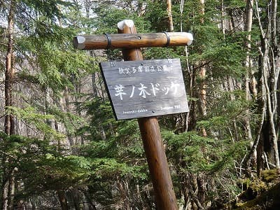 奥多摩の山旅（登山、トレッキング）、芋木ノドッケ