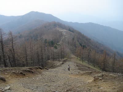 奥多摩の山旅（登山、トレッキング）、小雲取山