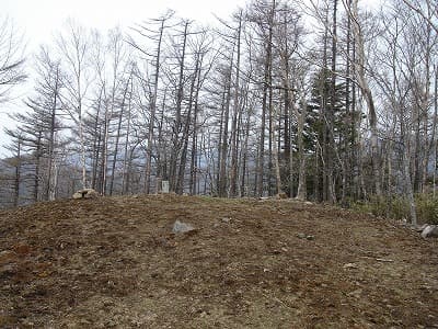 奥多摩の山旅（登山、トレッキング）、高丸山