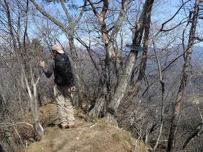 大菩薩、中央沿線の山旅（登山、トレッキング）、羽根子山