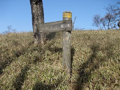 丹沢、房総の山旅（登山、トレッキング）、棚沢ノ頭