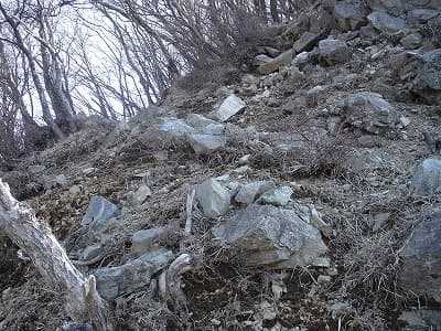 丹沢、房総の山旅（登山、トレッキング）、ミカゲ沢ノ頭