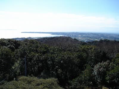 丹沢、房総の山旅（登山、トレッキング）、武山