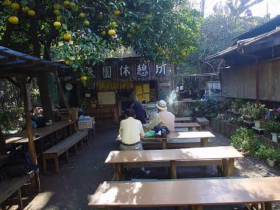 丹沢、房総の山旅（登山、トレッキング）、天園