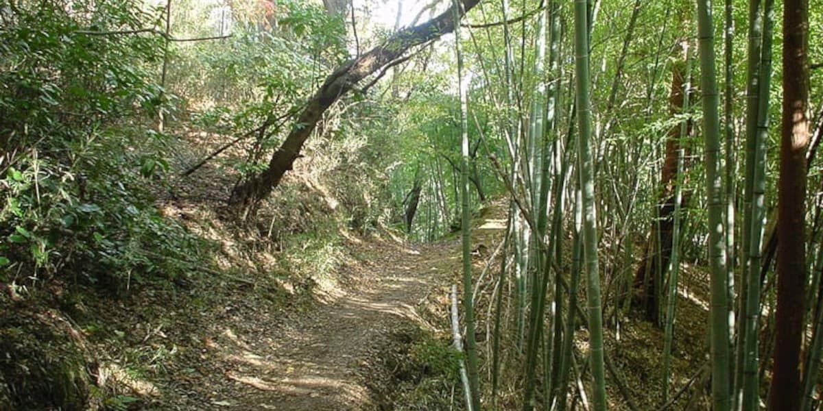 鎌倉アルプスの登山道