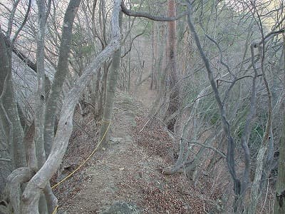 冬枯れの登山道