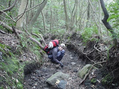 開聞岳登山道