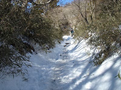 登山道の雪