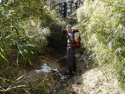 登山道