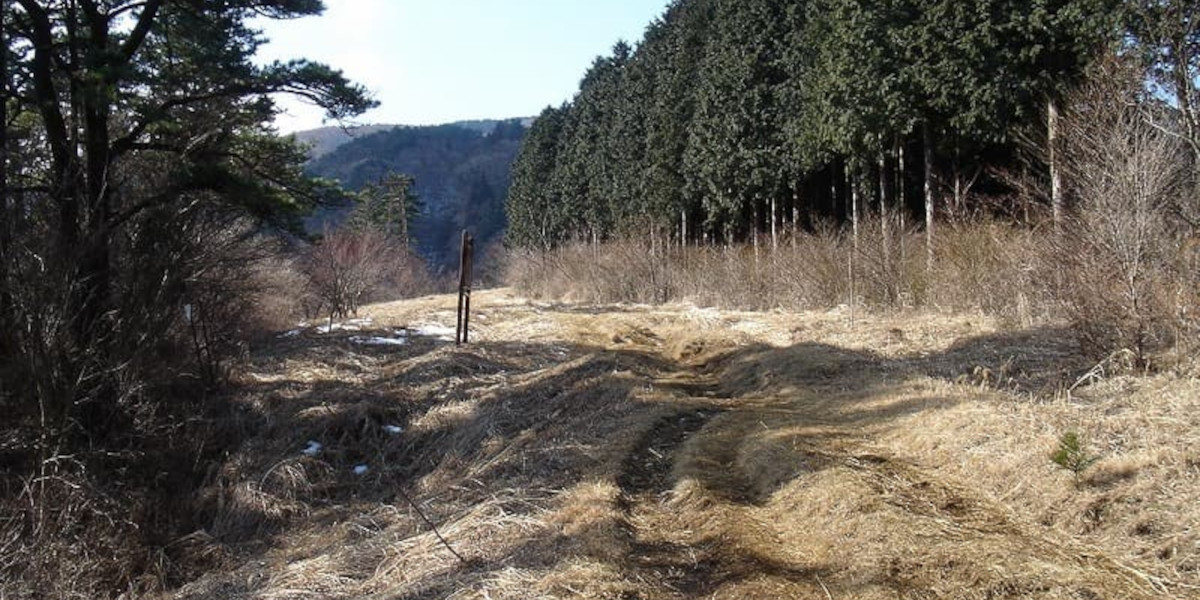 明神ヶ岳の登山道