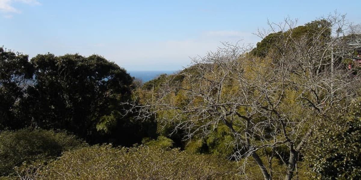 三浦富士の登山道