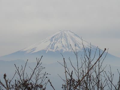 茅ヶ岳から富士山