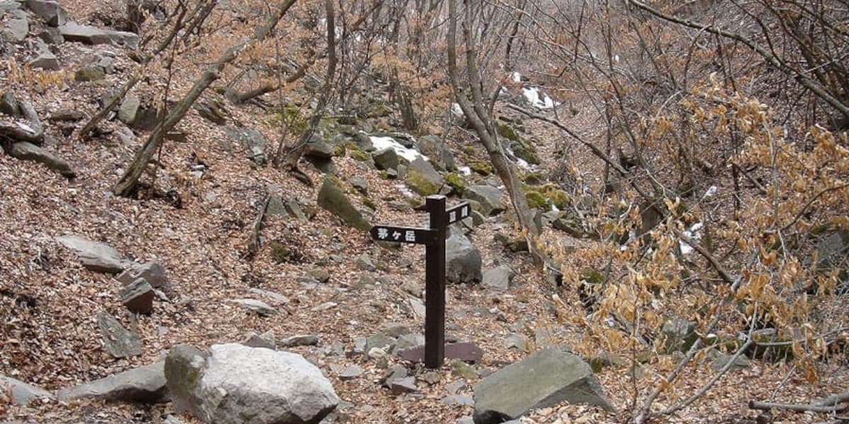 茅ヶ岳の登山道