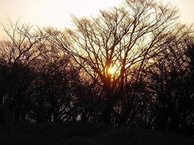 丹沢山からの朝日