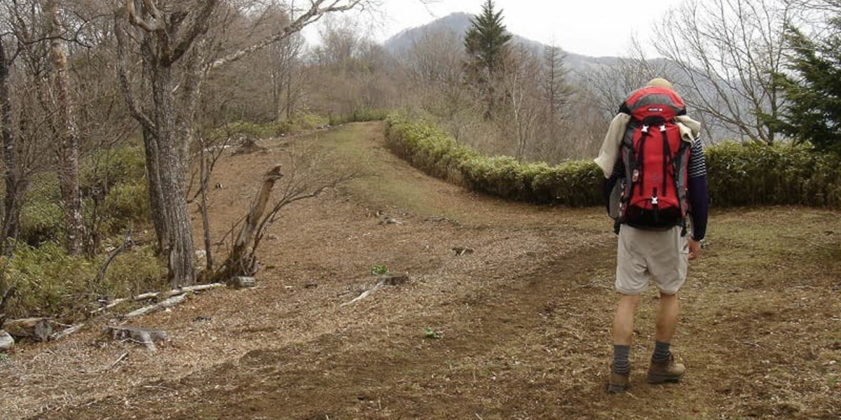 雲取山の登山道