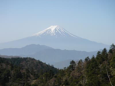 小金沢山から富士山