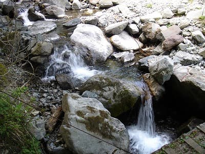 登山道にあった沢