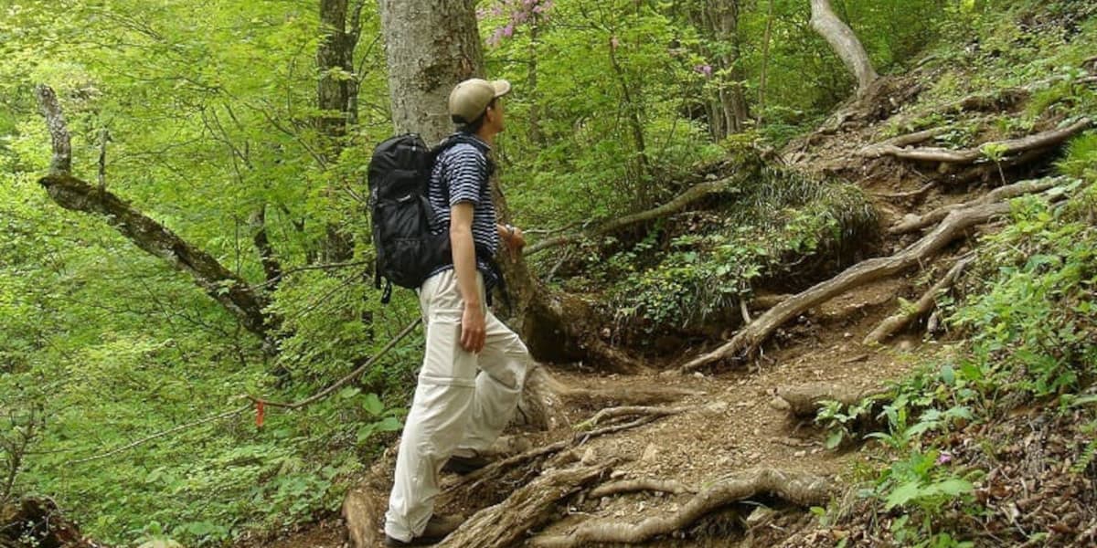 両神山の登山道