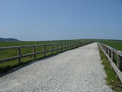 爽快な登山道