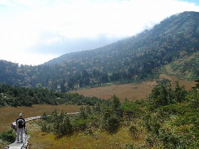 湿原の登山道