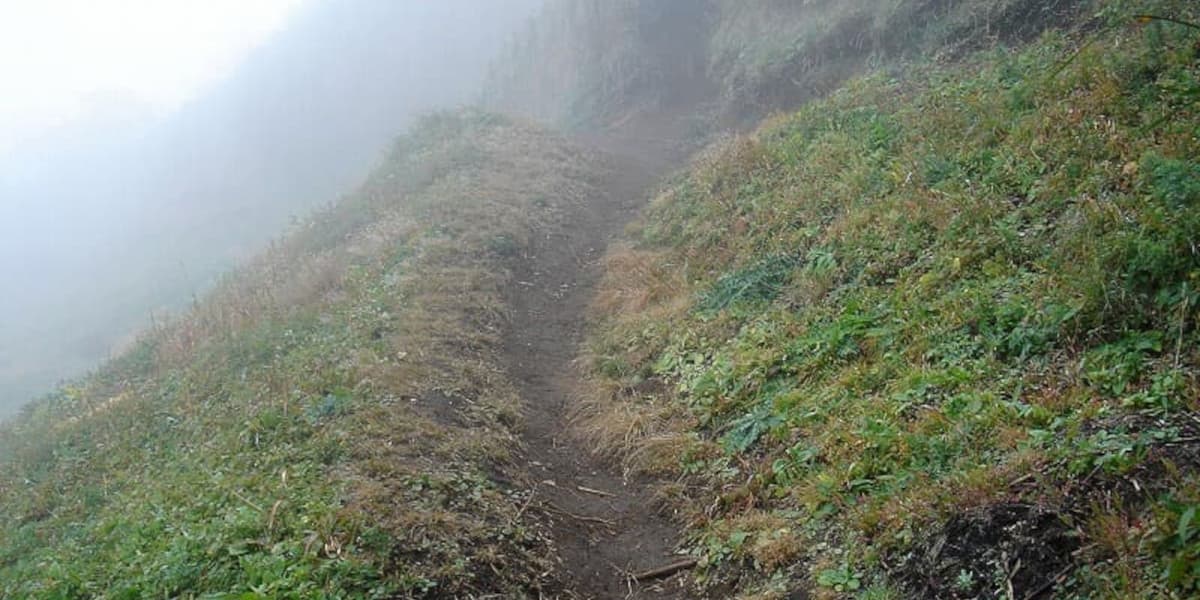 明神ヶ岳の登山道