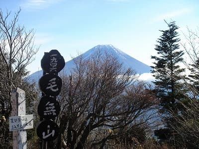 毛無山山頂から富士山