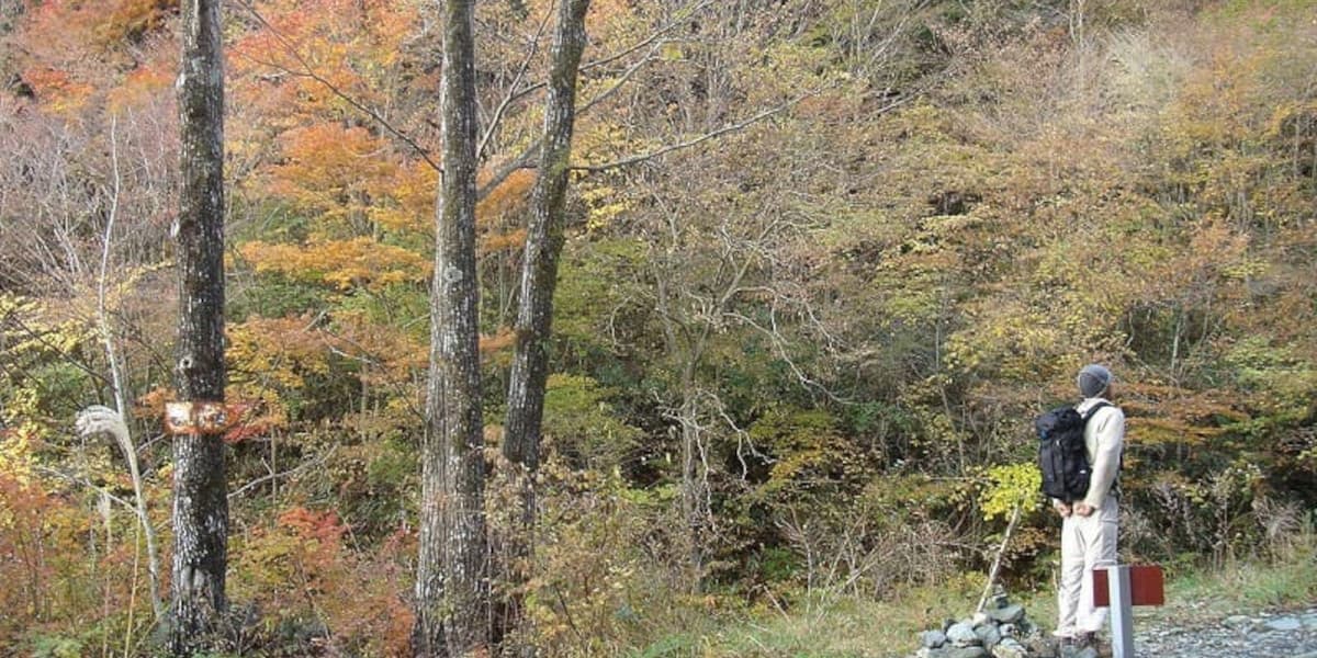 毛無山の登山道