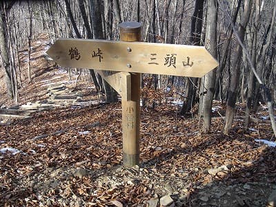 向山への分岐