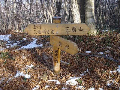 鶴峠と三頭山分岐