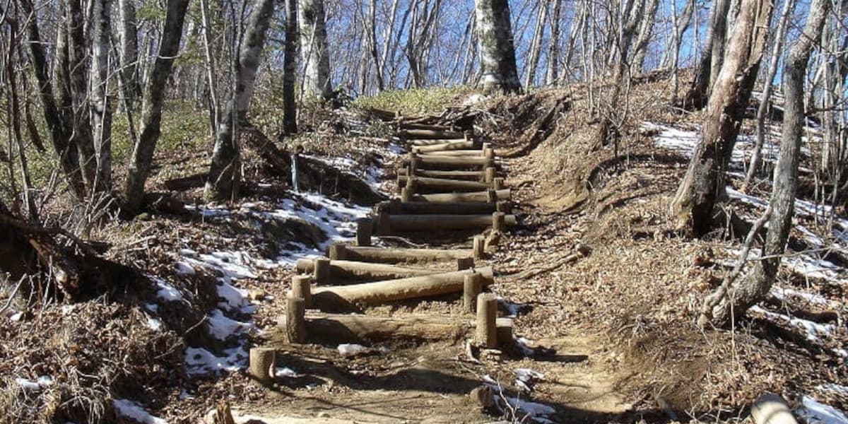 三頭山の登山道