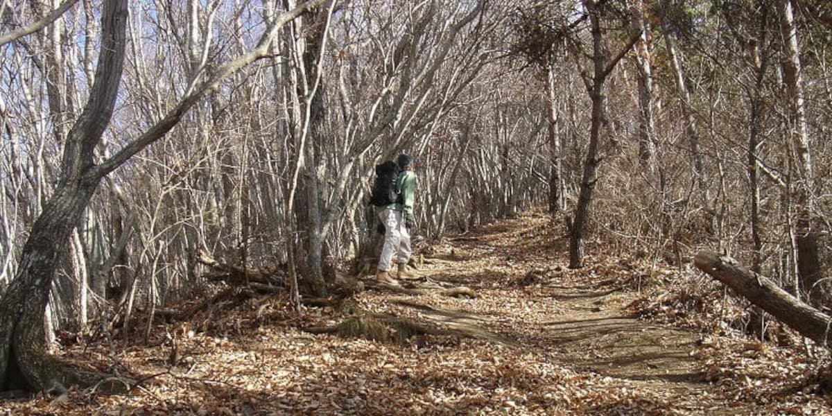 蛾ヶ岳の登山道