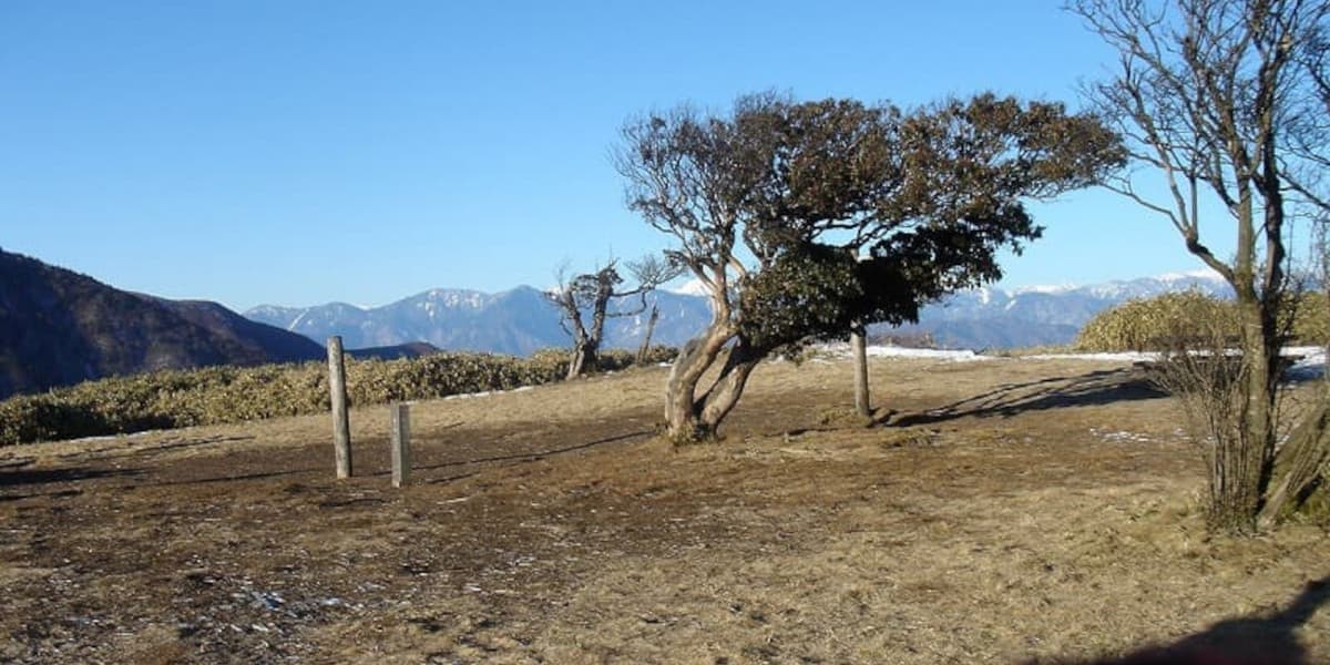 竜ヶ岳の登山道