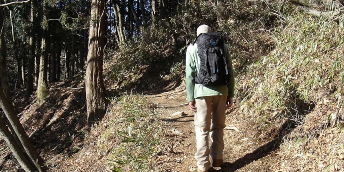 大岳山の登山道