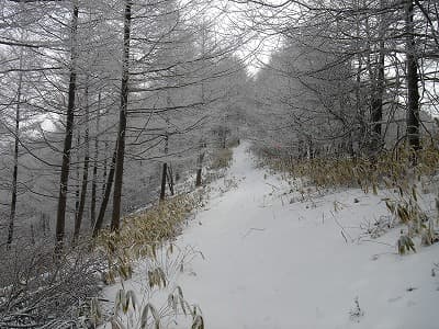 トレースがない登山道