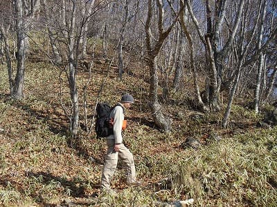 登りはじめの登山道