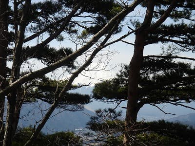 羽根子山から富士山