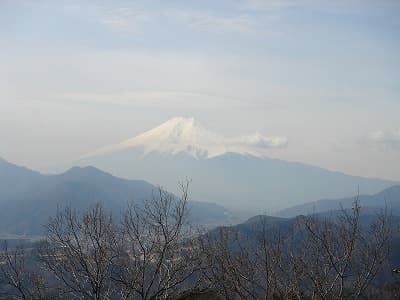 高川山山頂から富士山