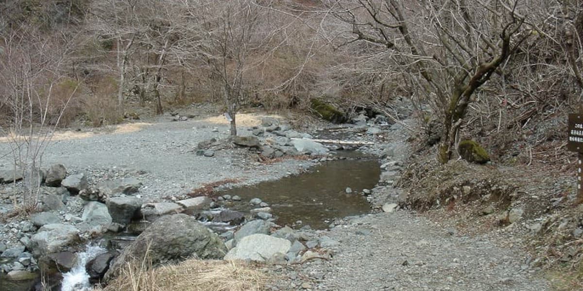 鍋割山の登山道