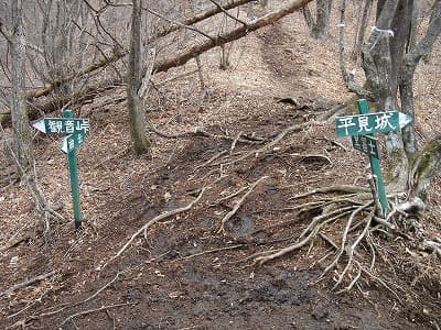 観音峠と登山道