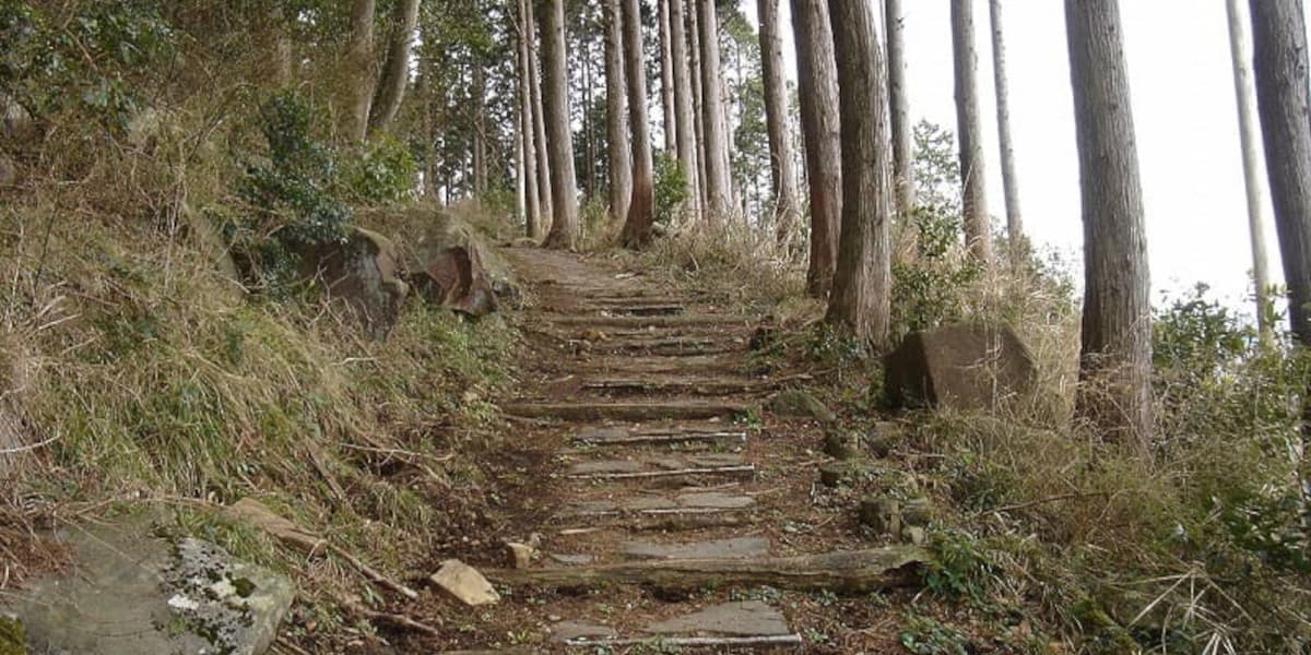 弘法山の登山道