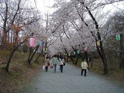 観光客が多い