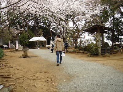 丹沢、房総の山旅（登山、トレッキング）、弘法山