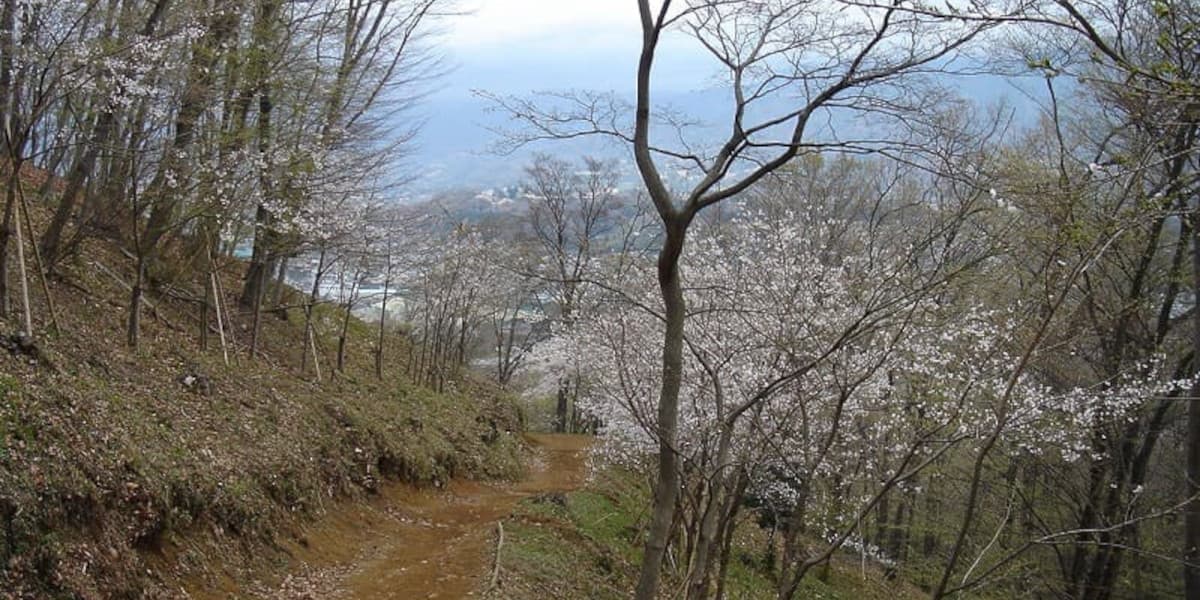 弘法山の登山道