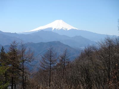 扇山から富士山