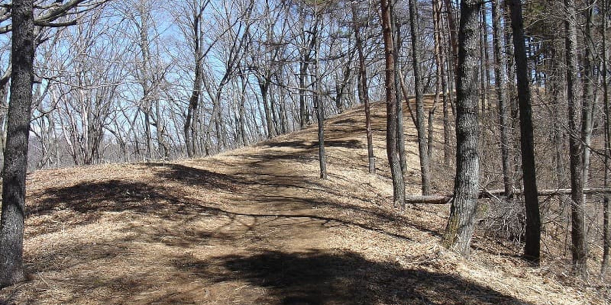 扇山の登山道