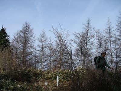 岩下ノ丸