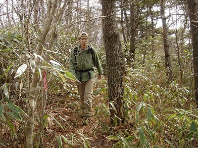 笹深い登山道