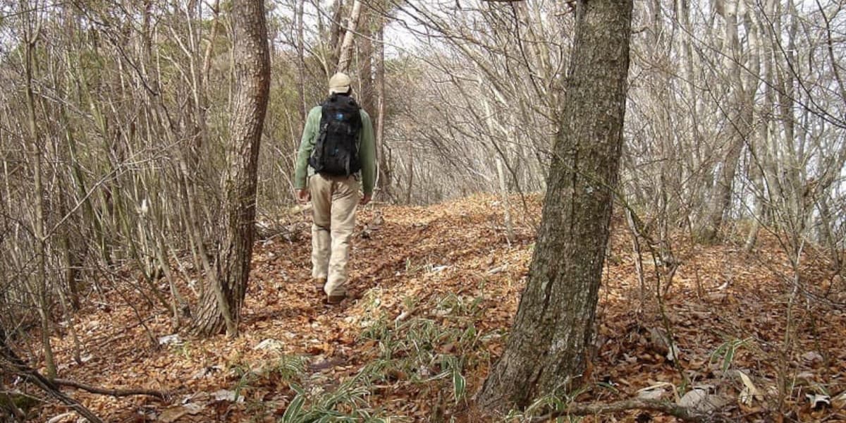 御正体山の登山道