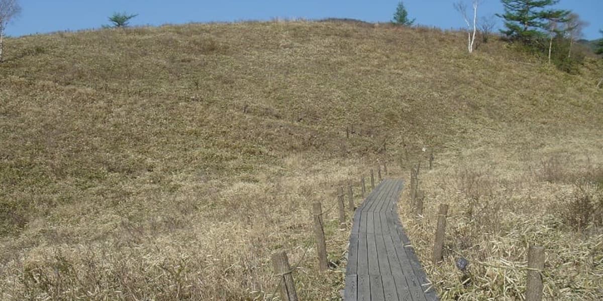 甘利山の登山道